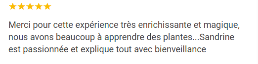 témoignage Émilie - Sandrine Bert - guérisseuse de l'âme
